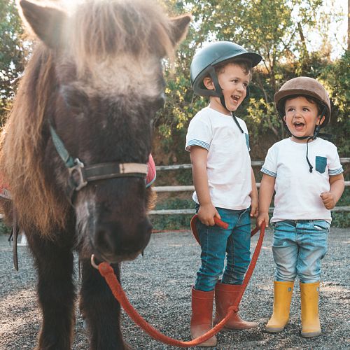 Pony Tages- und Wochencamps